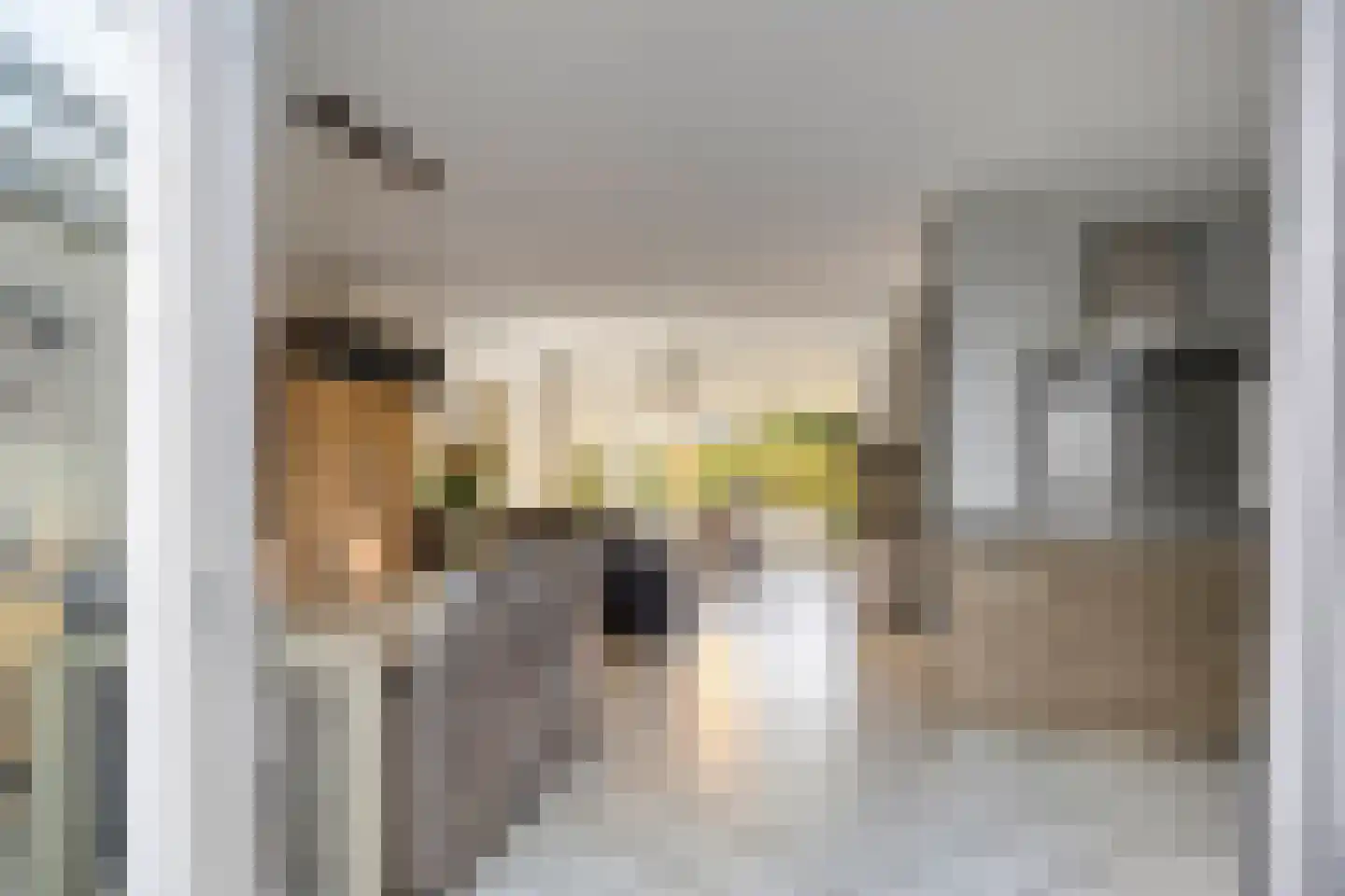 Klaproos 1 Haaksbergen thumbnail 17