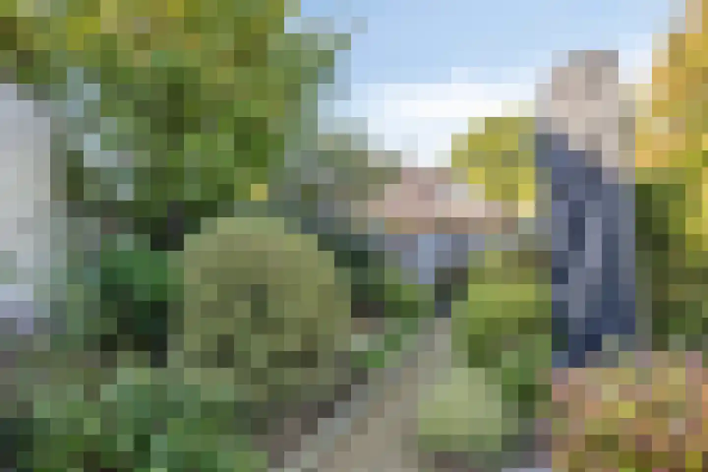 Klaproos 1 Haaksbergen thumbnail 37