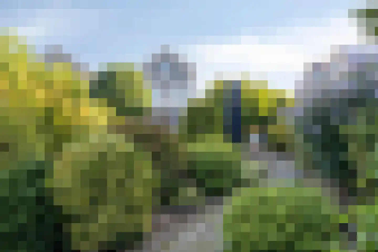 Klaproos 1 Haaksbergen thumbnail 39
