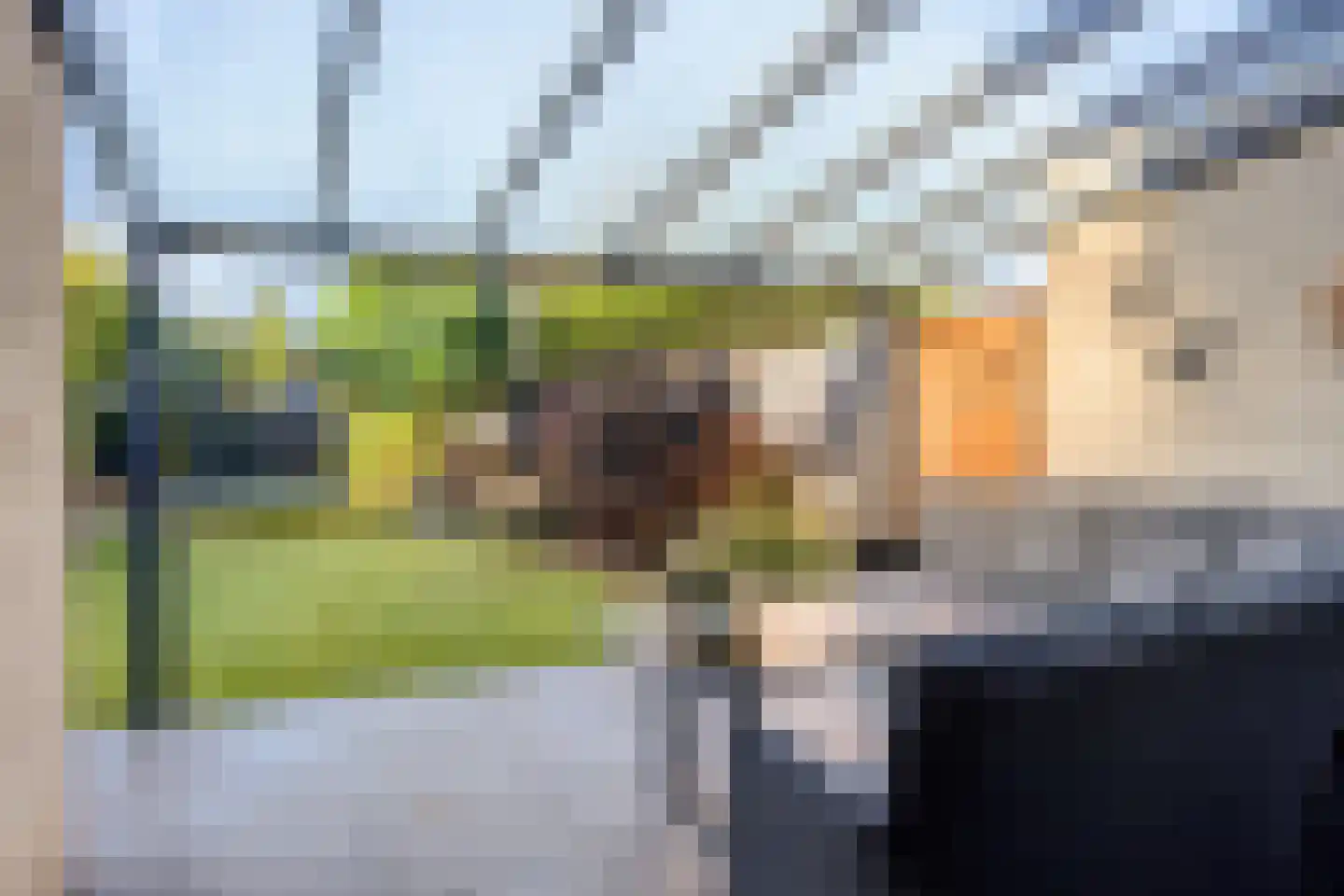 Klaproos 1 Haaksbergen thumbnail 6
