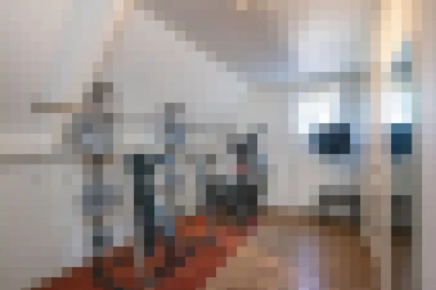 Klaproos 1 Harbrinkhoek thumbnail 29