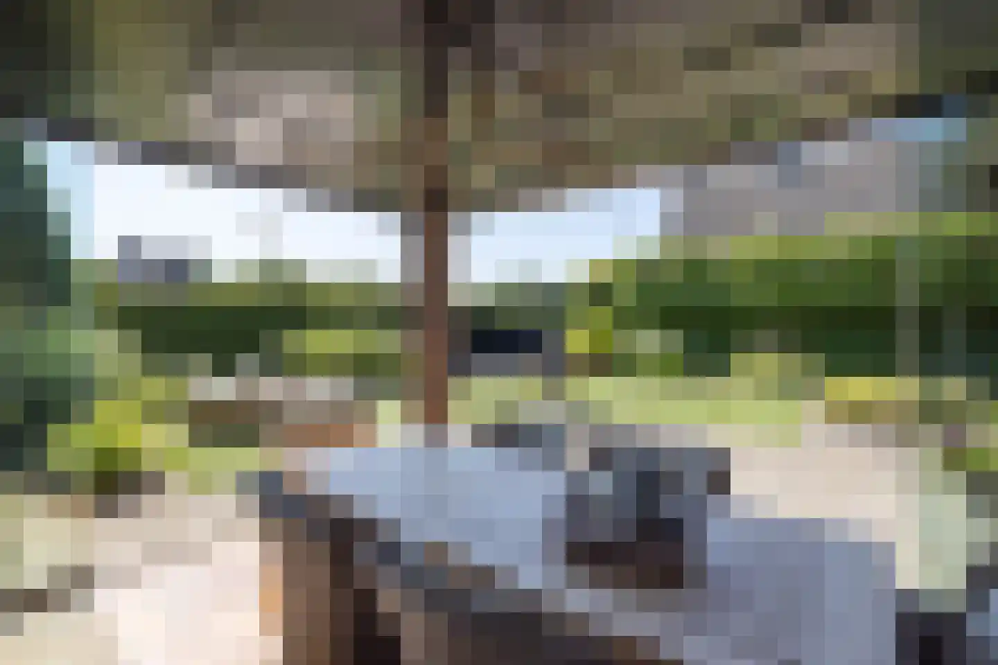Klaproos 1 Harbrinkhoek thumbnail 34