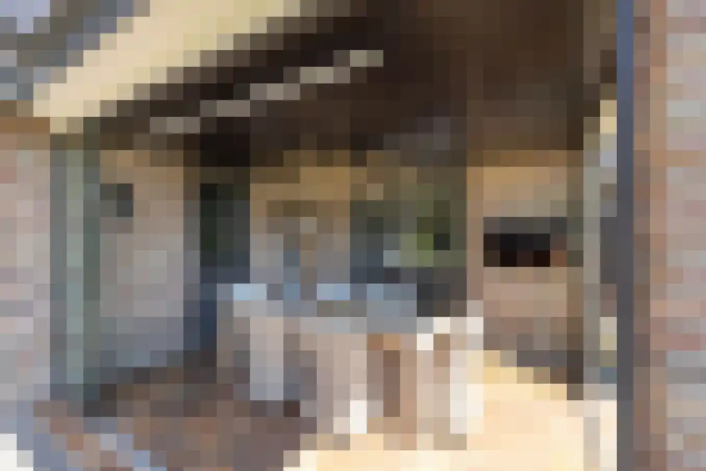 Klaproos 1 Harbrinkhoek thumbnail 35