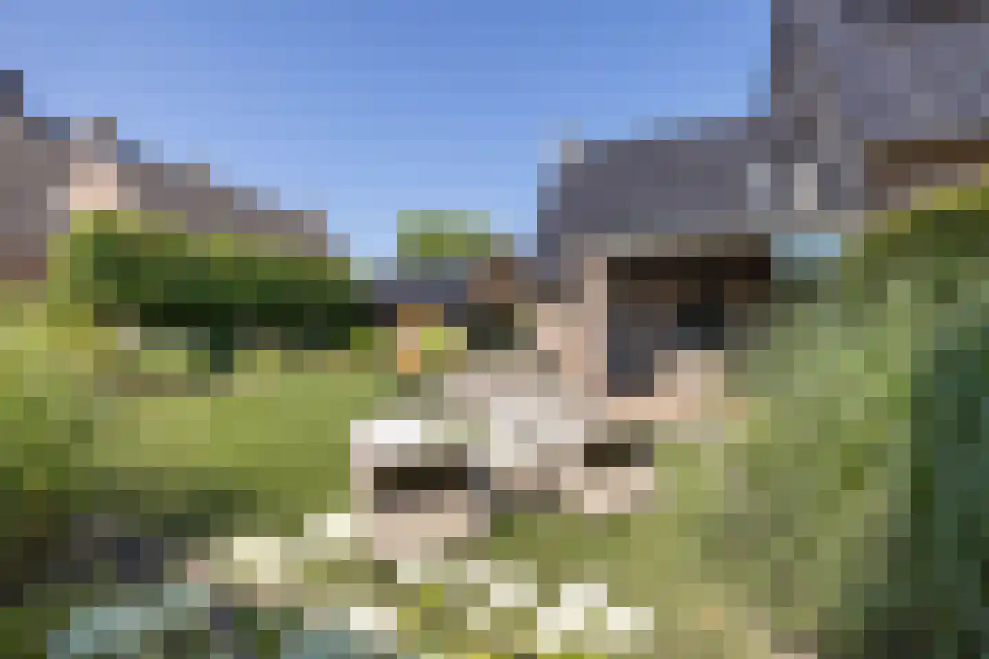 Klaproos 1 Harbrinkhoek thumbnail 39