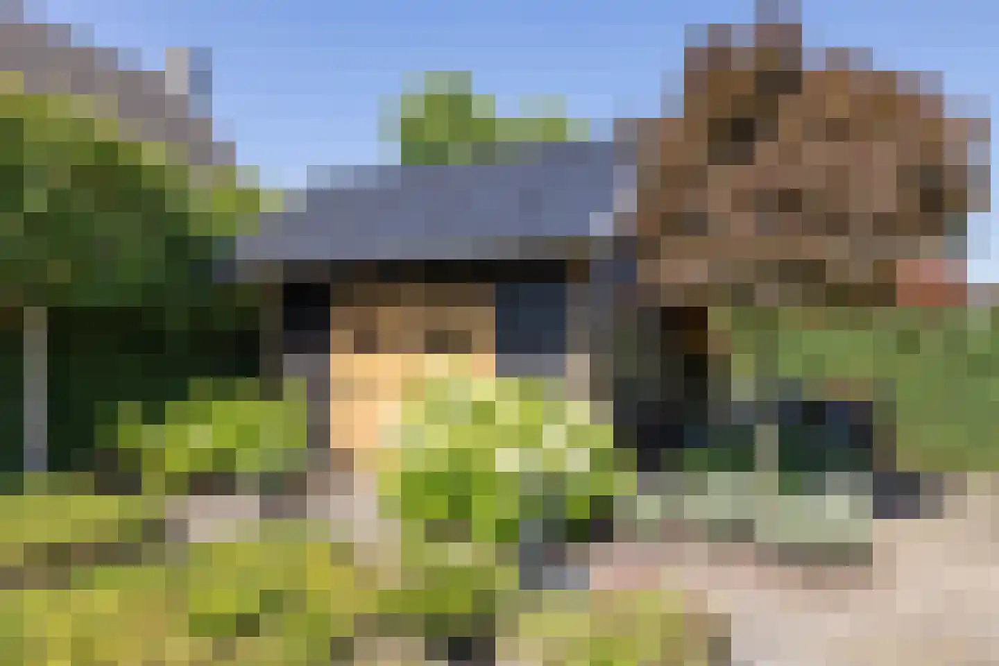 Klaproos 1 Harbrinkhoek thumbnail 41