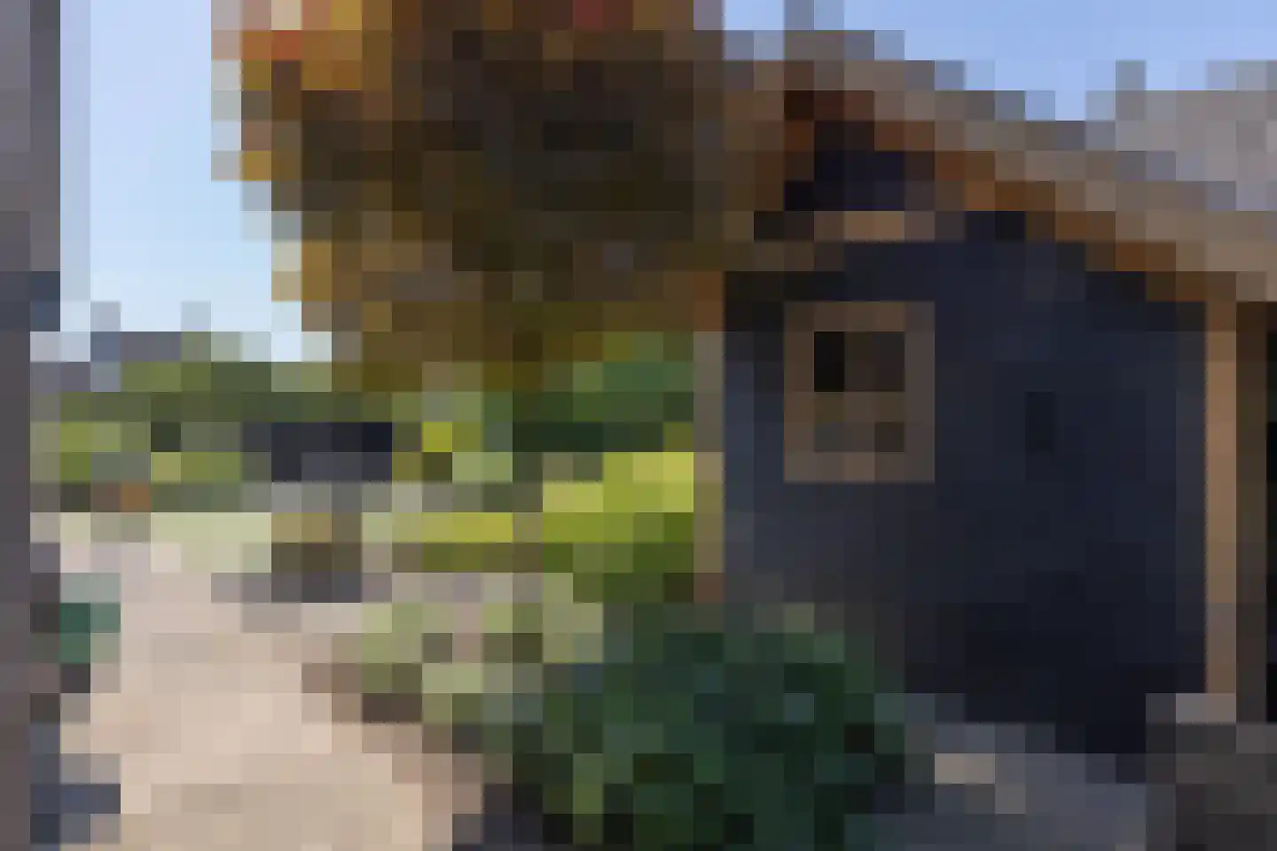 Klaproos 1 Harbrinkhoek thumbnail 43