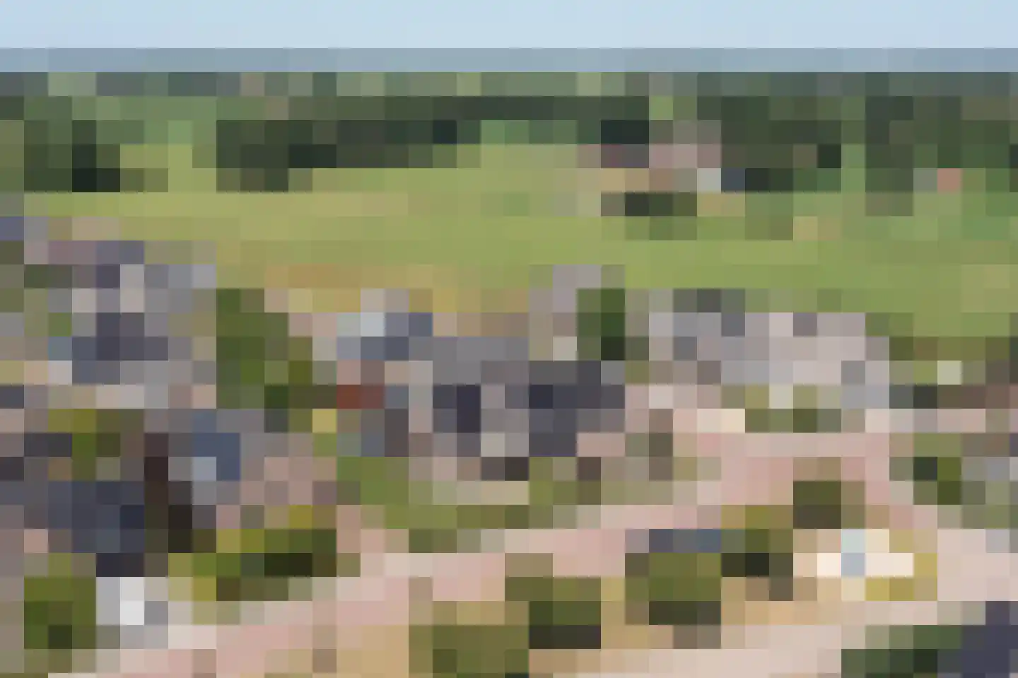 Klaproos 1 Harbrinkhoek thumbnail 44
