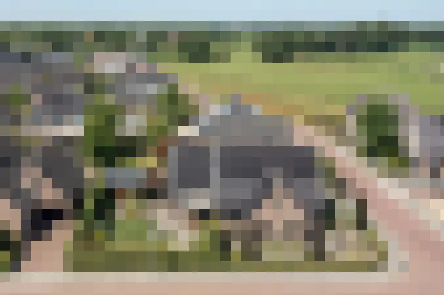 Klaproos 1 Harbrinkhoek thumbnail 45