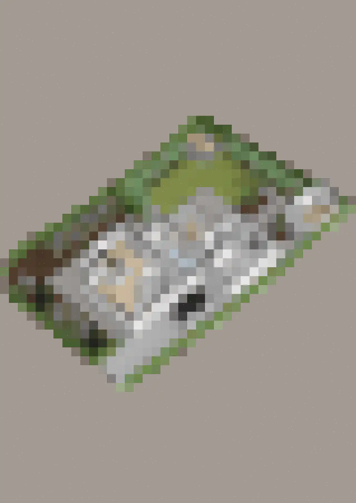 Klaproos 1 Harbrinkhoek thumbnail 56
