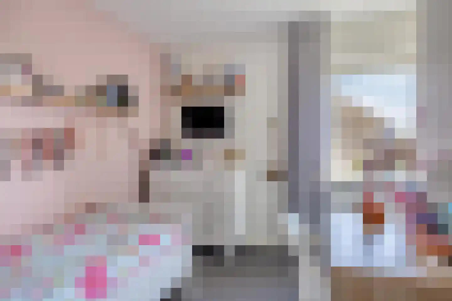 Klaproos 1 IJsselmuiden thumbnail 25