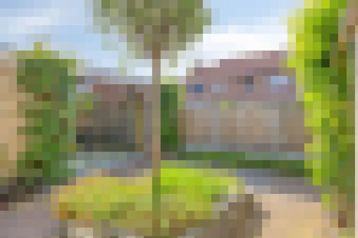 Klaproos 1 IJsselmuiden thumbnail 32