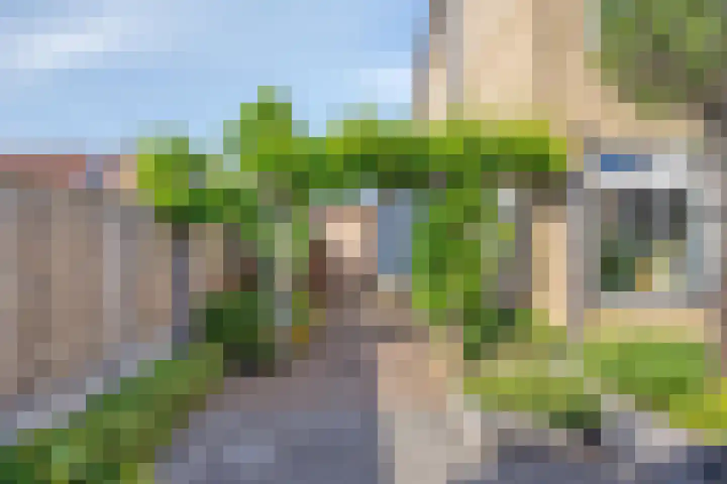 Klaproos 1 IJsselmuiden thumbnail 33