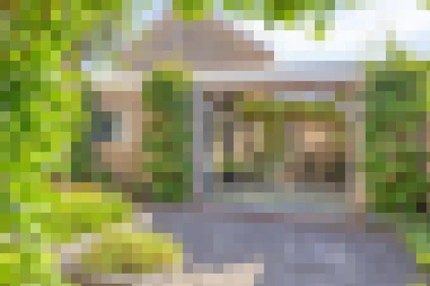 Klaproos 1 IJsselmuiden thumbnail 36