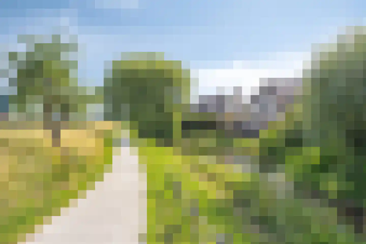 Klaproos 1 IJsselmuiden thumbnail 42