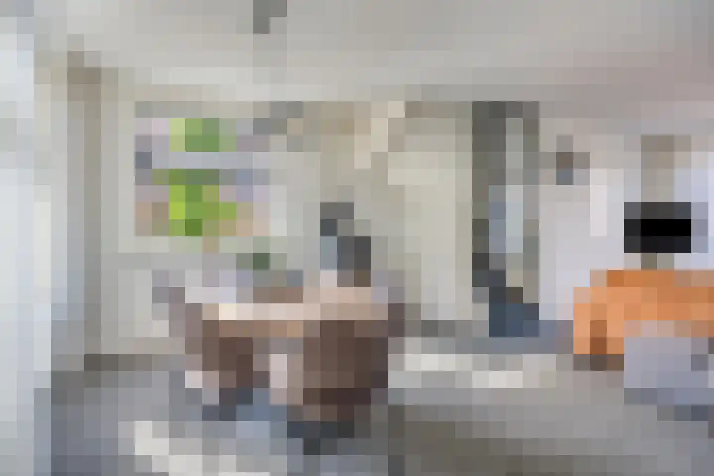Klaproos 1 IJsselmuiden thumbnail 7