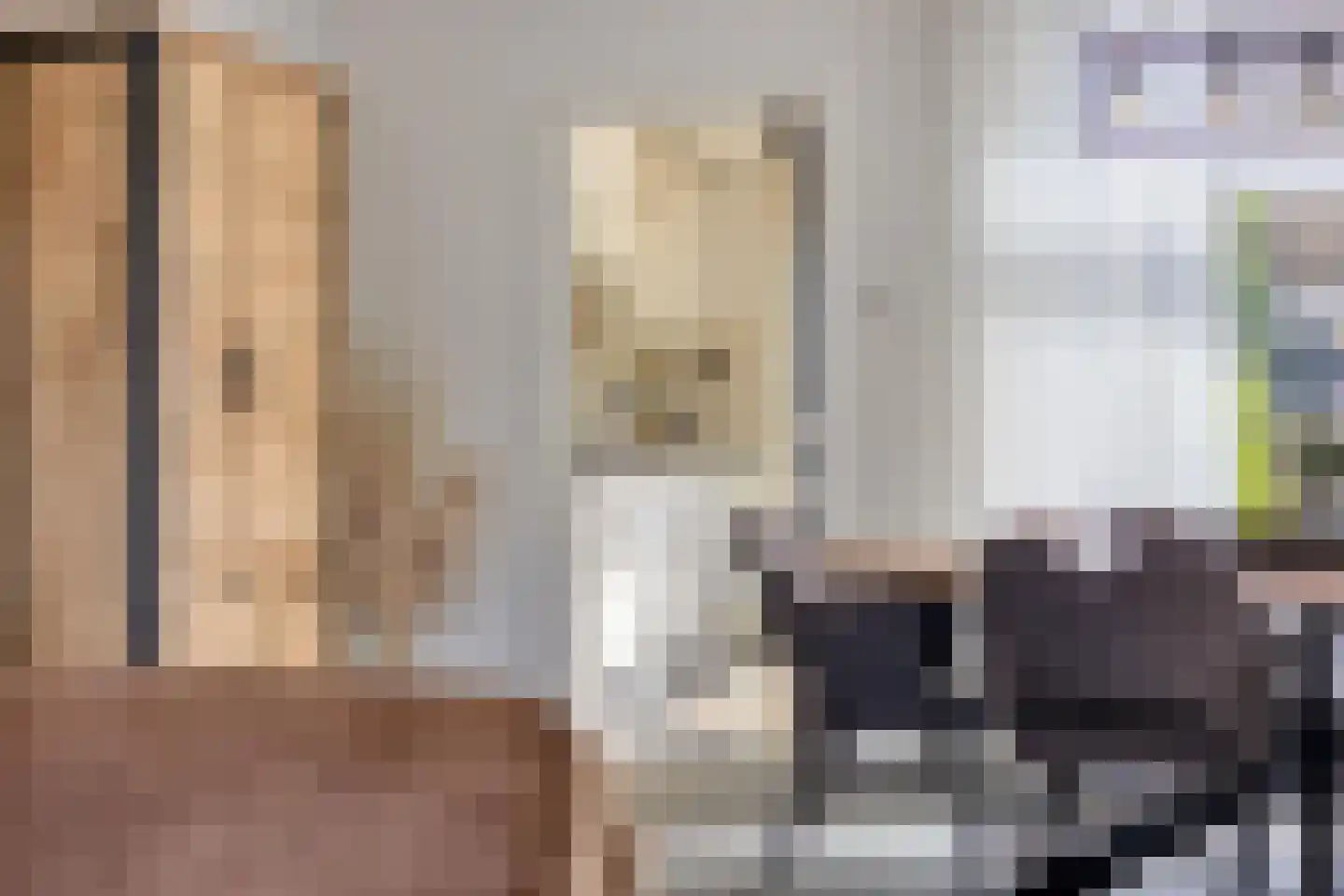 Klaproos 1 IJsselmuiden thumbnail 8