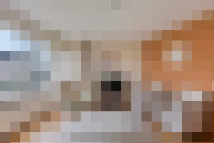 Klaproos 1 Kapelle thumbnail 8