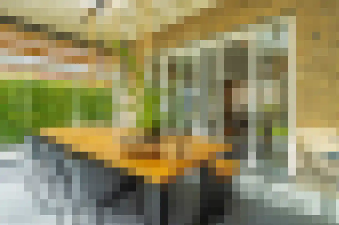 Klaproos 10 Gorinchem thumbnail 11