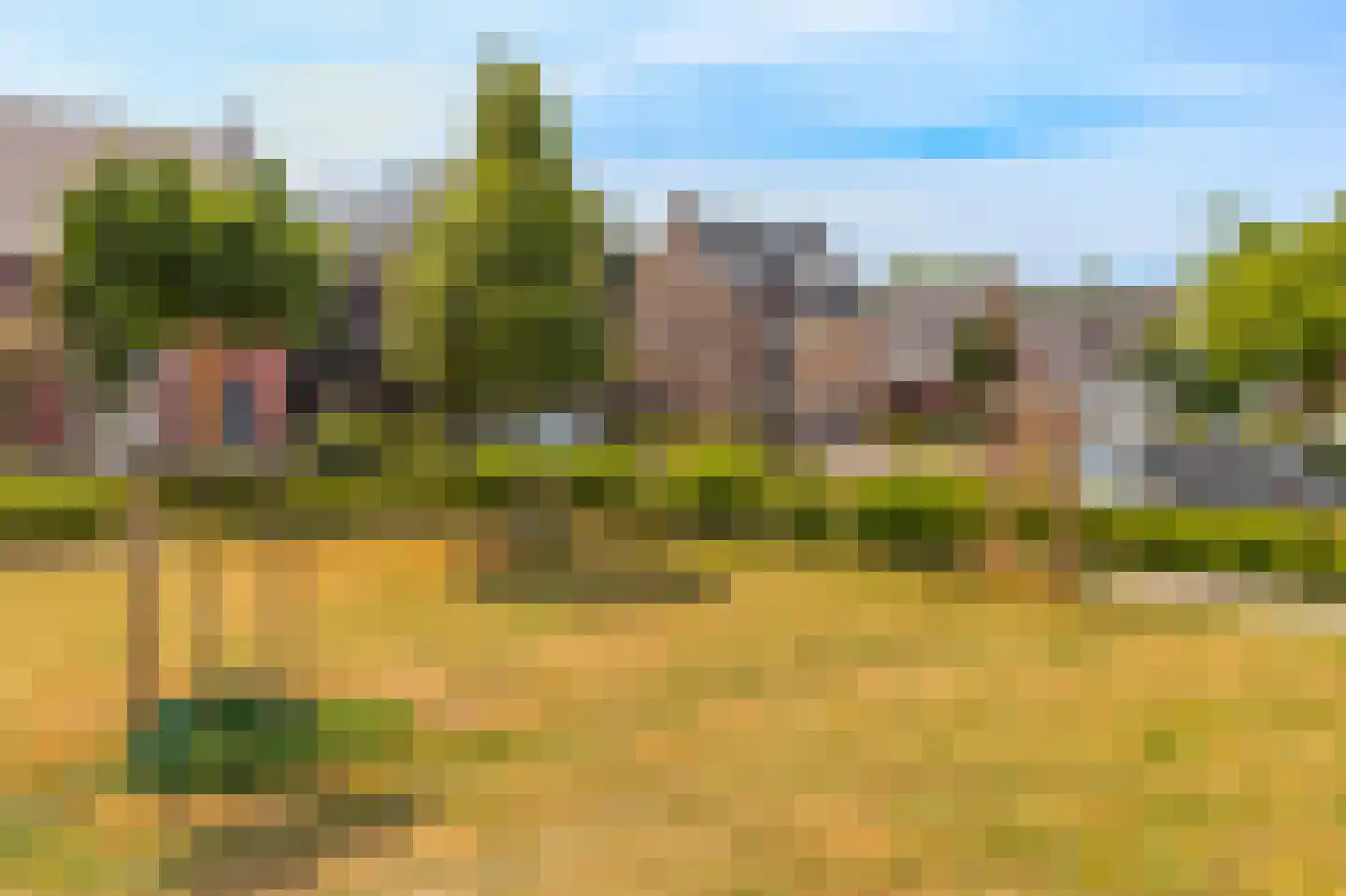 Klaproos 10 Gorinchem thumbnail 36