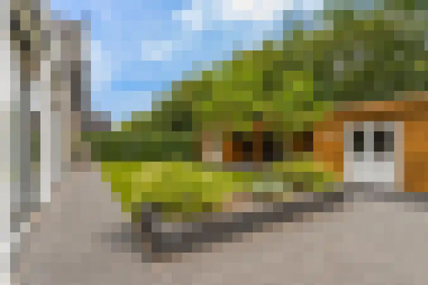 Klaproos 10 Gorinchem thumbnail 4