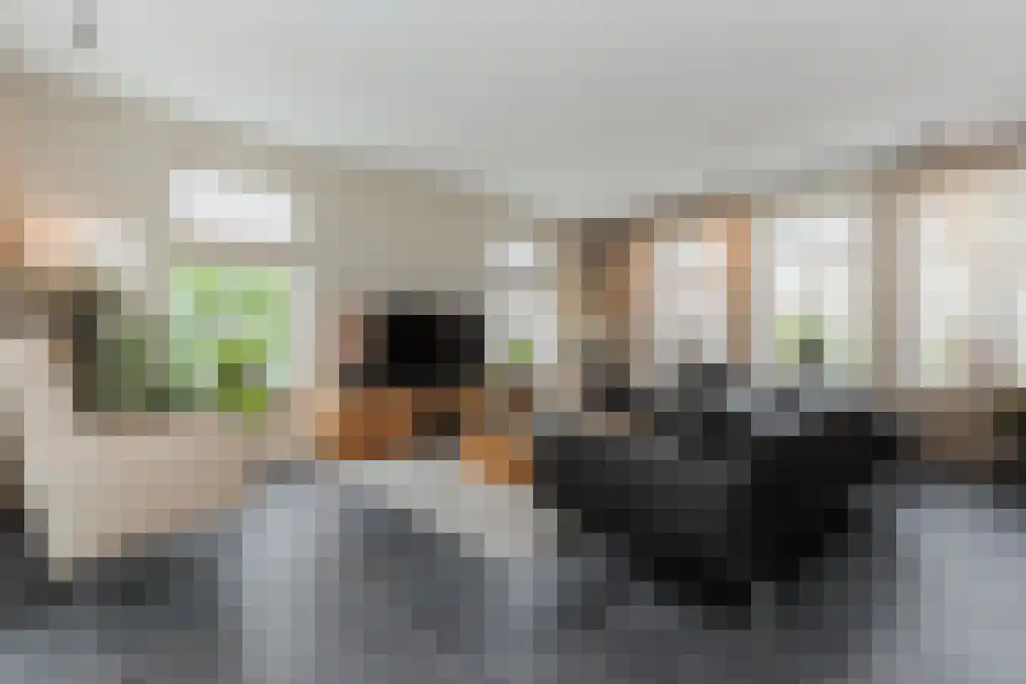 Klaproos 10 Gorinchem thumbnail 7
