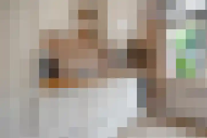 Klaproos 10 Hardenberg thumbnail 20