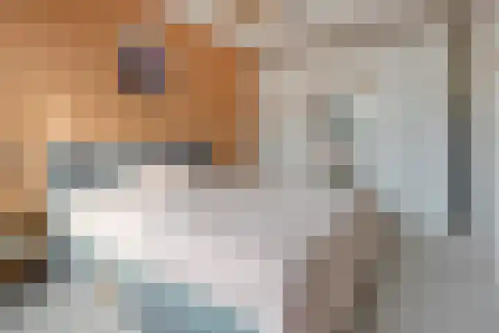 Klaproos 10 Hardenberg thumbnail 26