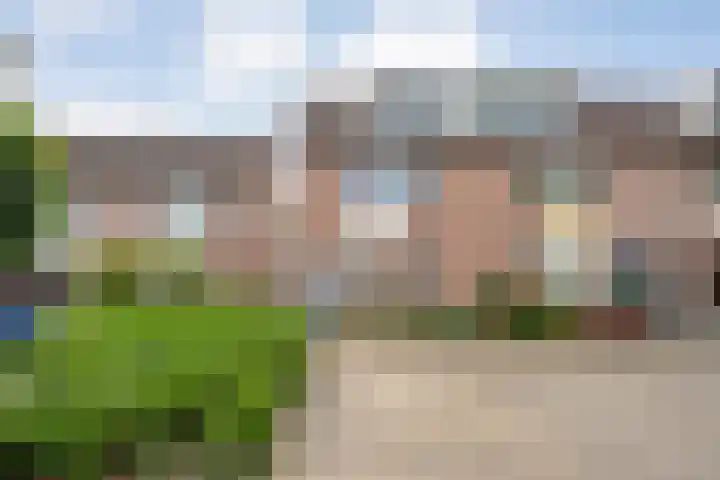 Klaproos 10 Hardenberg foto 3
