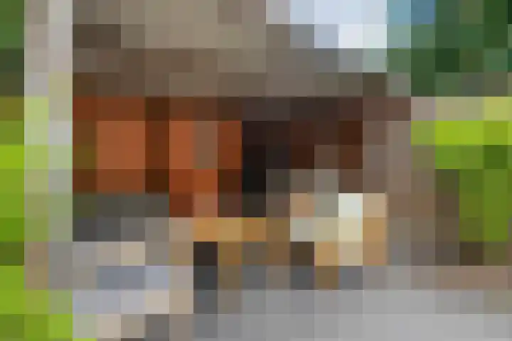 Klaproos 10 Hardenberg thumbnail 41
