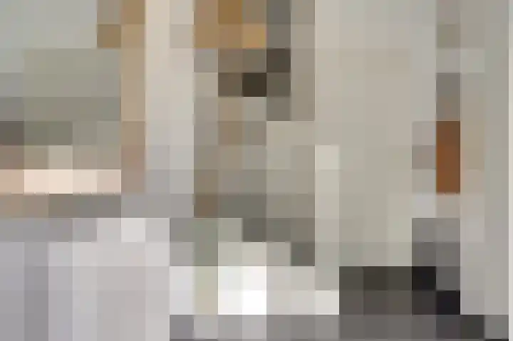 Klaproos 12 Dongen thumbnail 10