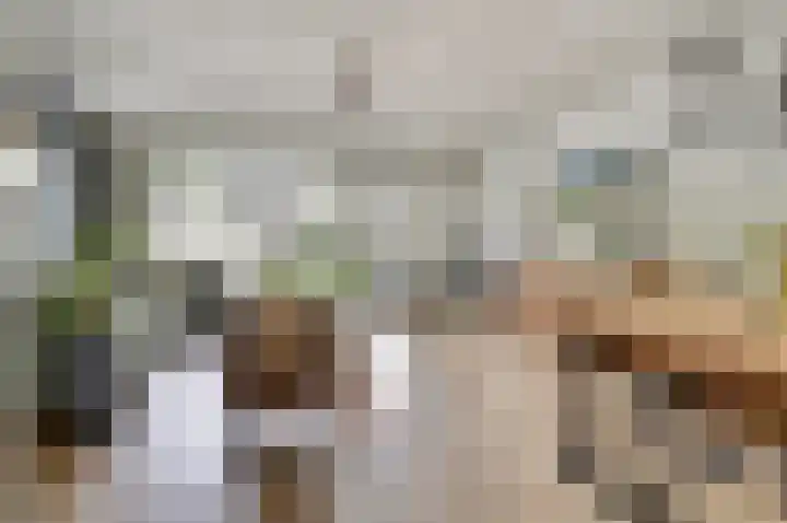 Klaproos 12 Dongen thumbnail 14