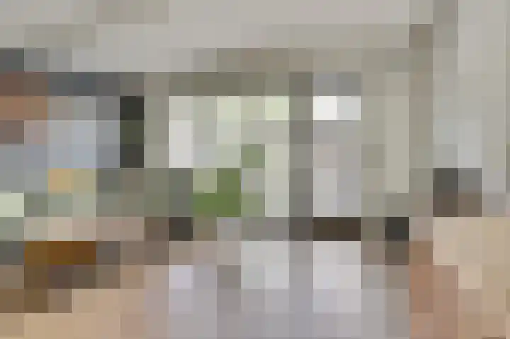 Klaproos 12 Dongen thumbnail 15