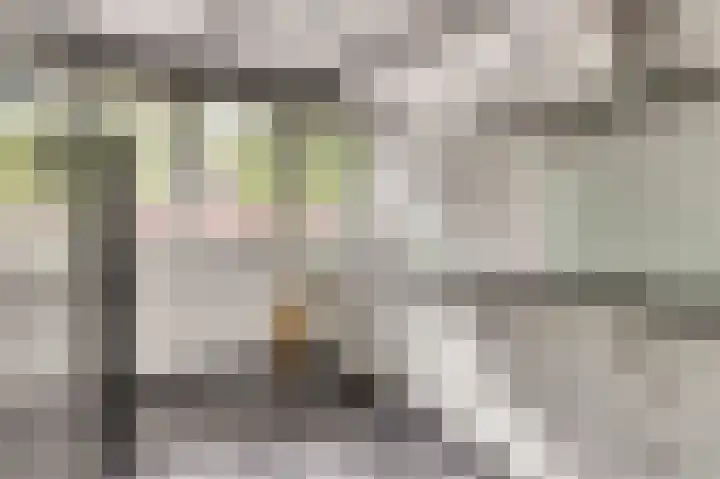 Klaproos 12 Dongen thumbnail 18