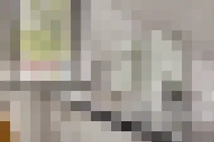 Klaproos 12 Dongen thumbnail 19