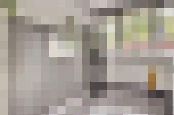 Klaproos 12 Dongen thumbnail 21