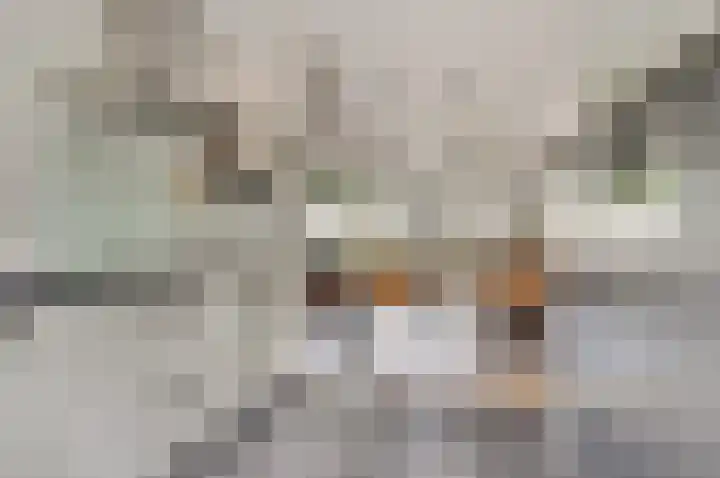 Klaproos 12 Dongen thumbnail 22