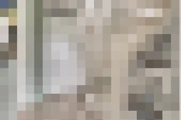 Klaproos 12 Dongen thumbnail 23