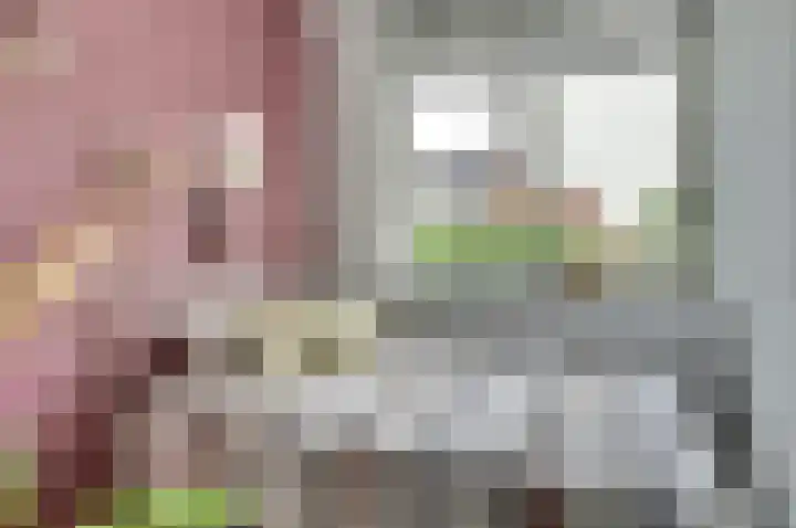 Klaproos 12 Dongen thumbnail 24