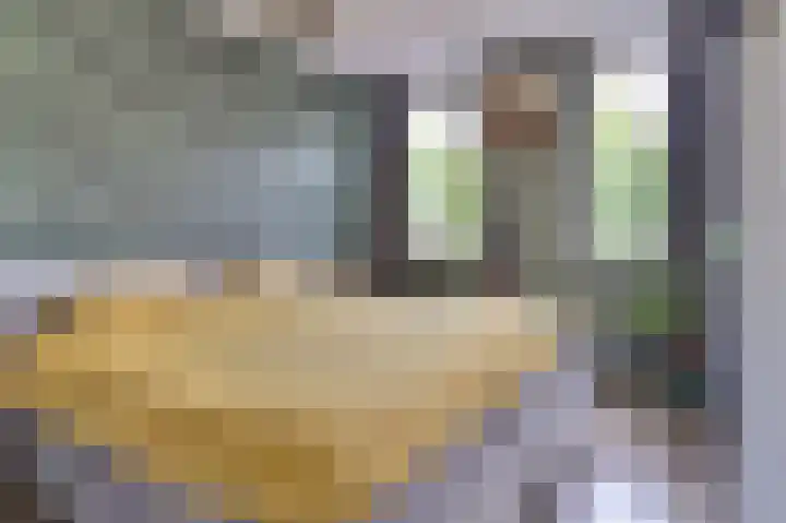 Klaproos 12 Dongen thumbnail 26