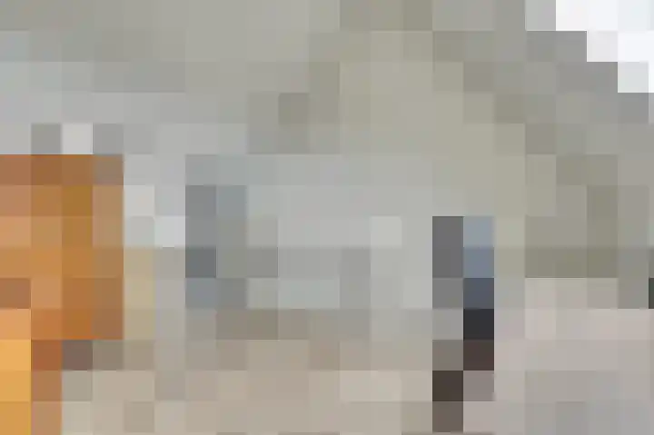 Klaproos 12 Dongen thumbnail 35