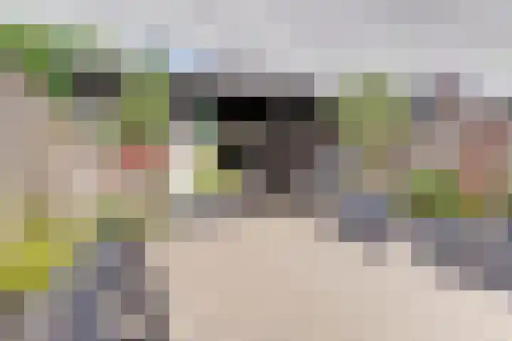 Klaproos 12 Dongen thumbnail 37