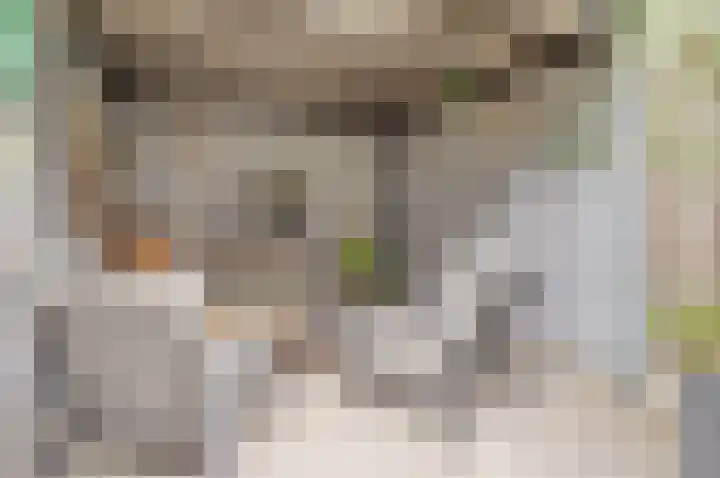 Klaproos 12 Dongen thumbnail 38