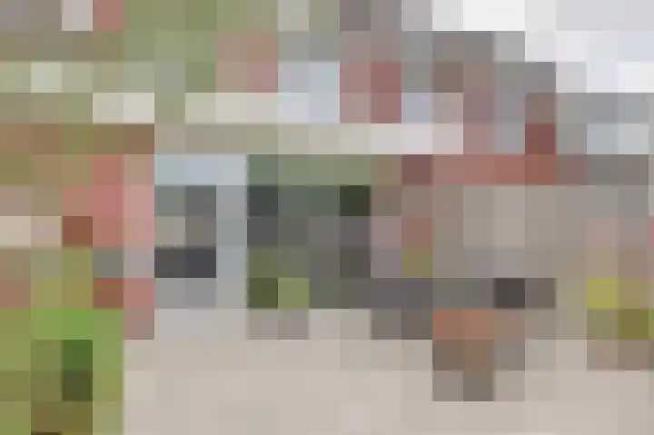 Klaproos 12 Dongen thumbnail 39