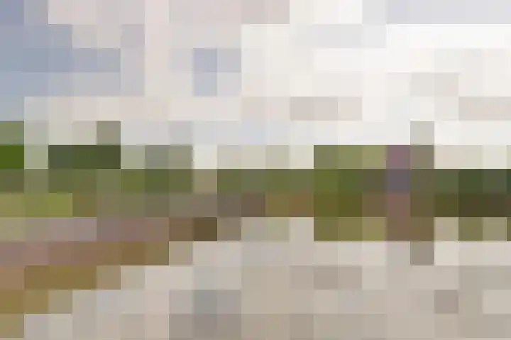 Klaproos 12 Dongen thumbnail 4