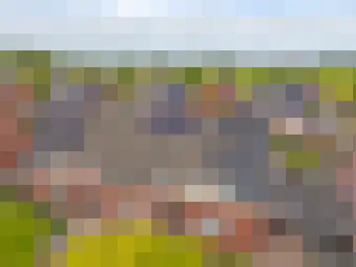 Klaproos 12 Dongen thumbnail 41