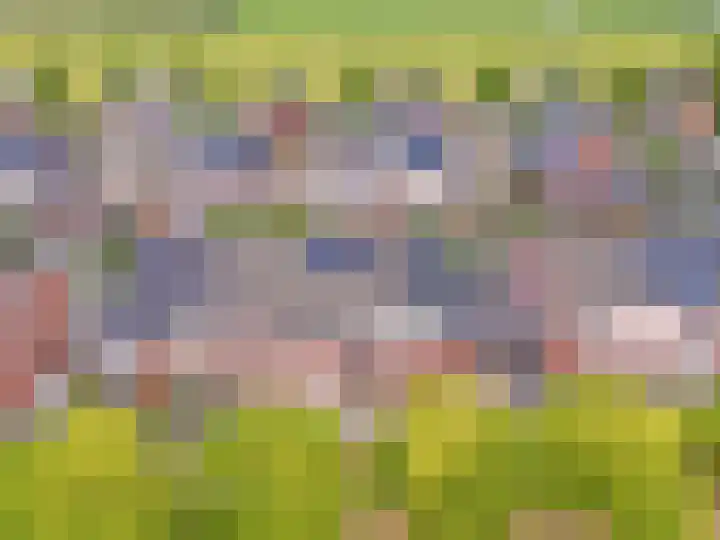 Klaproos 12 Dongen thumbnail 42