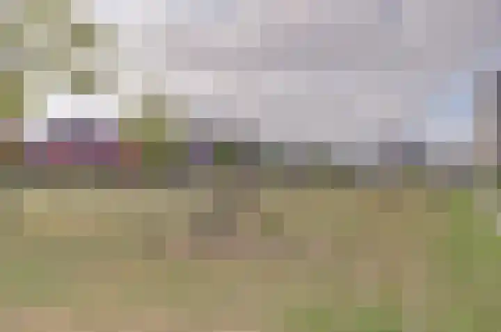 Klaproos 12 Dongen thumbnail 44
