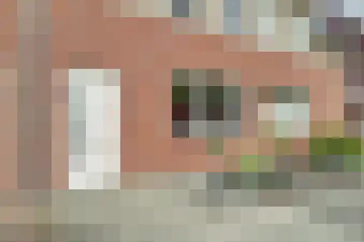 Klaproos 12 Dongen thumbnail 6