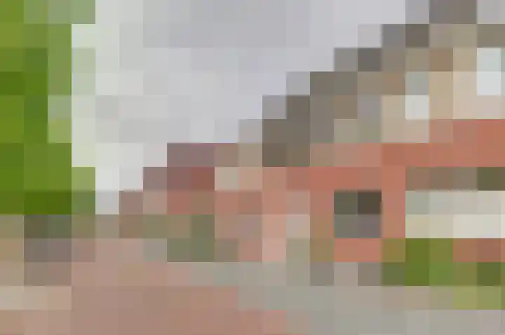 Klaproos 12 Dongen thumbnail 7