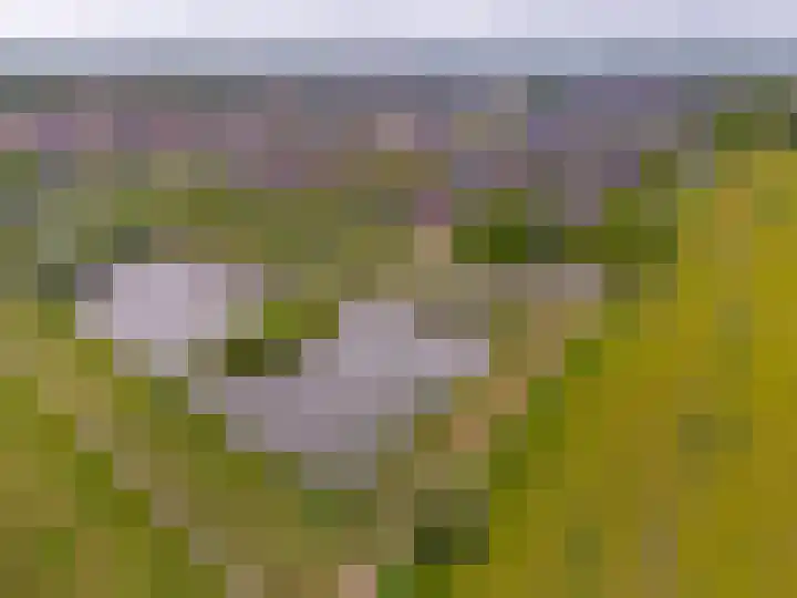 Klaproos 12 Dongen thumbnail 8
